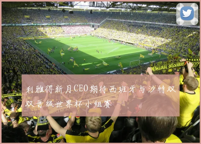 利雅得新月CEO期待西班牙与沙特双双晋级世界杯小组赛