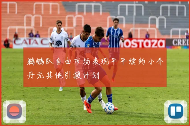 鹈鹕队自由市场表现平平续约小乔丹无其他引援计划